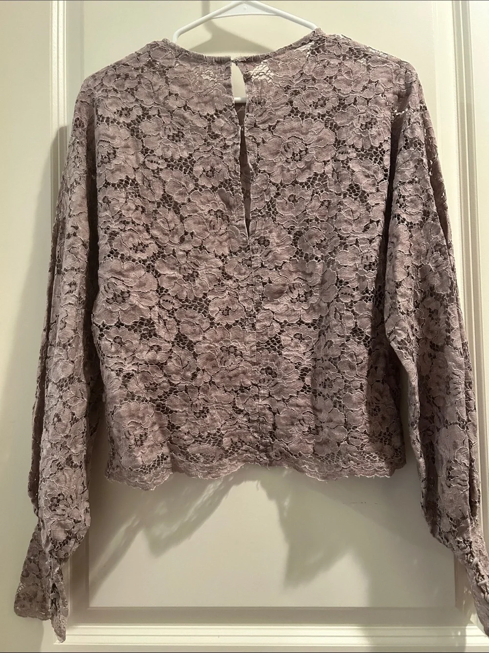 Zara GORGEOUS SEXY Lace peekaboo LongSleeve Blouse scallop hem size M beige